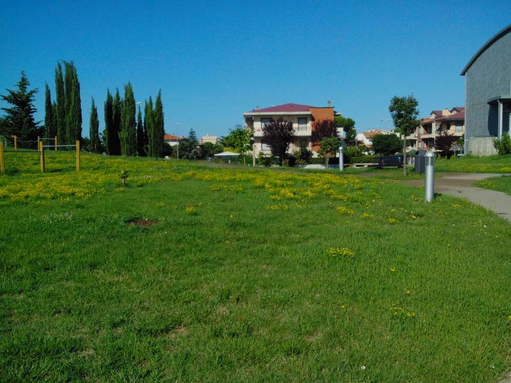 Parco Pubblica Assistenza, Cecina (Li)