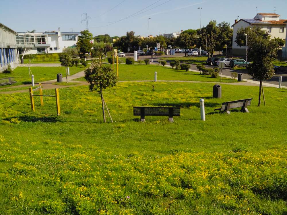 Parco Pubblica Assistenza, Cecina (Li)