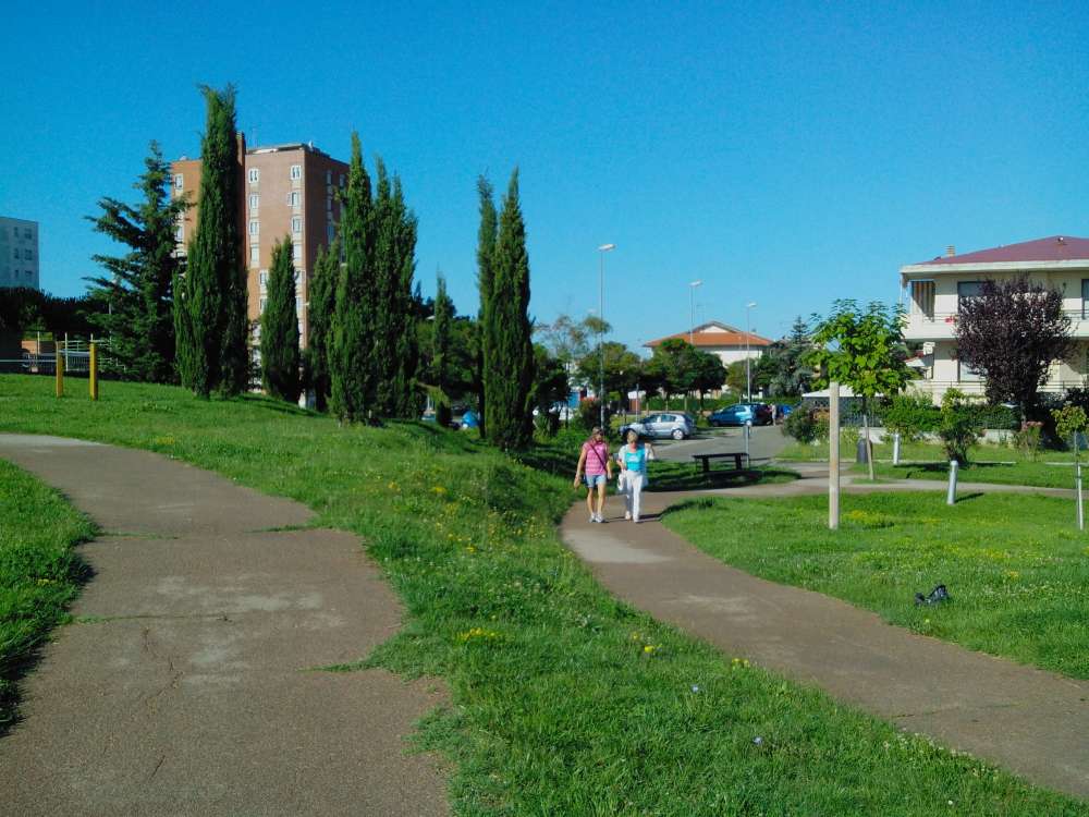 Parco Pubblica Assistenza, Cecina (Li)